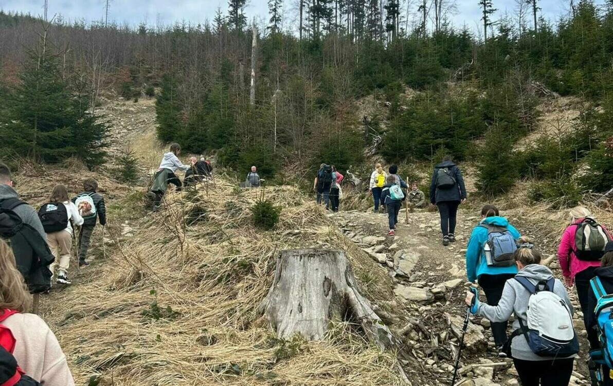 Zdjęcie do Rodzinne poszukiwanie wiosny!